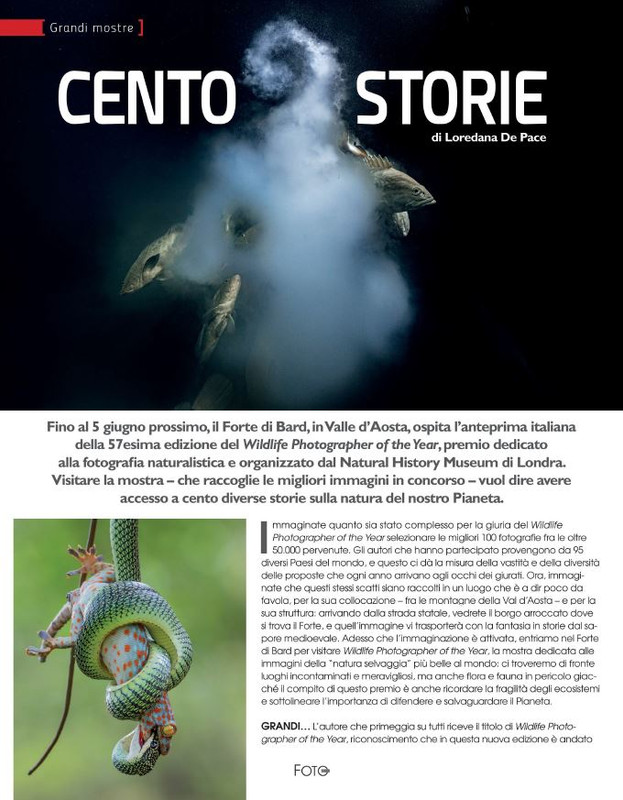 FOTO Cult Apr-Mag 2022 (1)