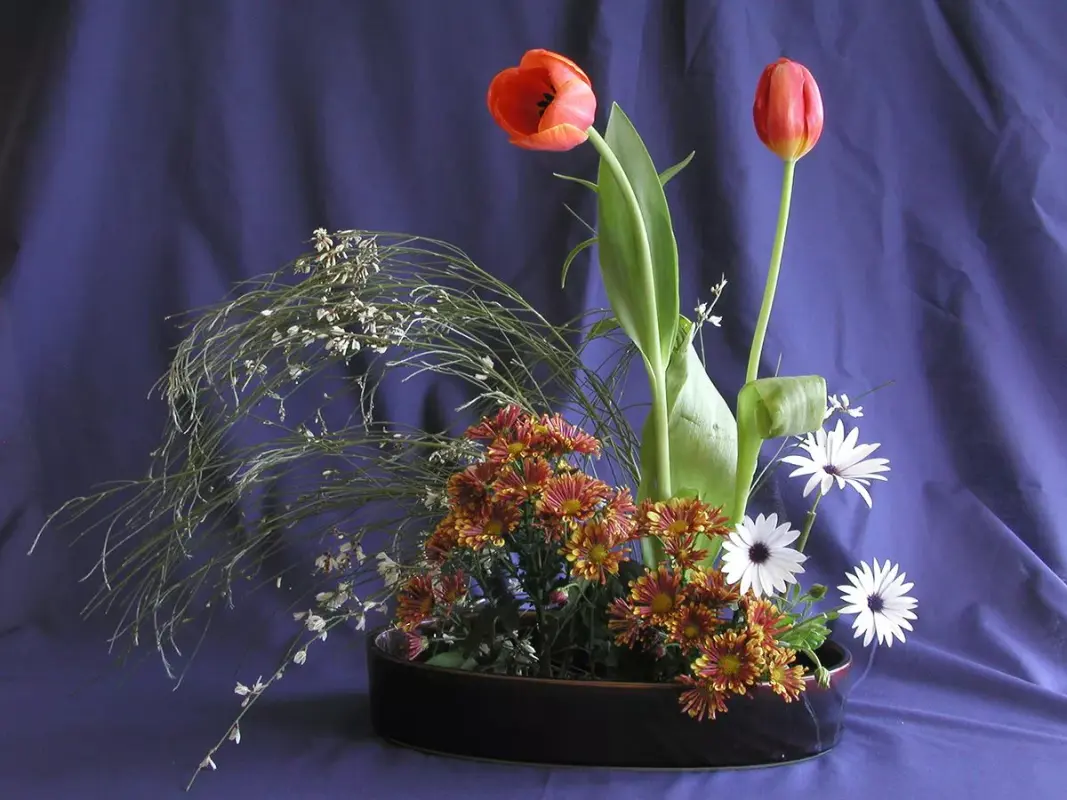 Savor the Ikebana Art Form