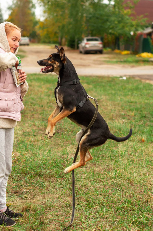 IMG_20230316_103931_197