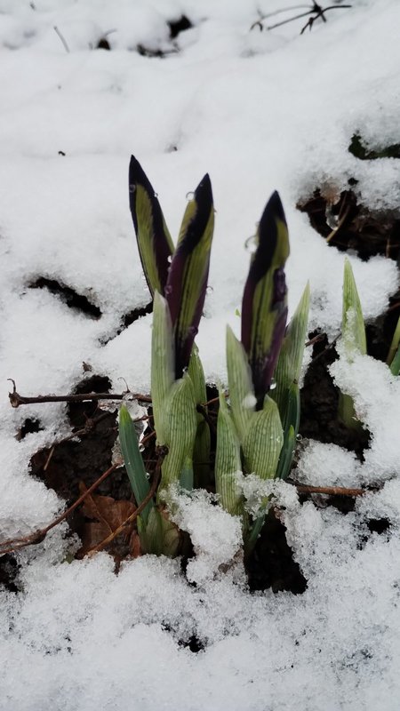 изображение_viber_2025-02-03_11-28-49-775