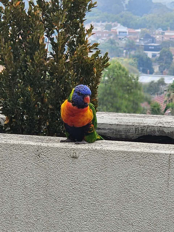 3b151b12 7100 4c1e 9436 a9bccc03e7a0