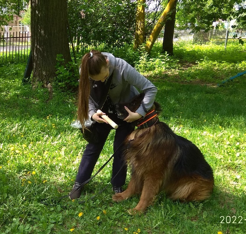 llbE9Jp8wXOClSr9RjrU79Q_v-fFOlpMA_dP9zLhfeHaw4vRuc60ytjhTHPWASpT2GhAMaJ0vHddKs2JhTBw8QPB