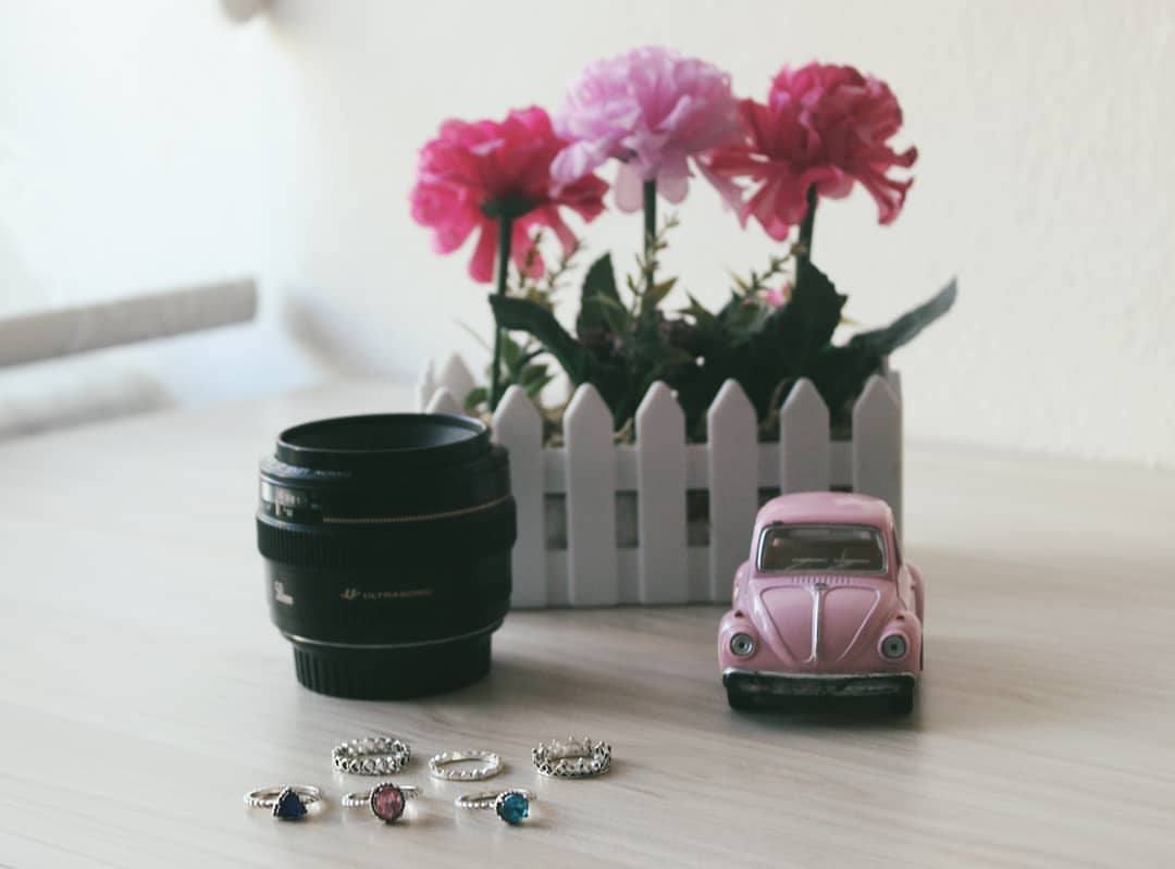 ���� ���� ������ �� ���� ������