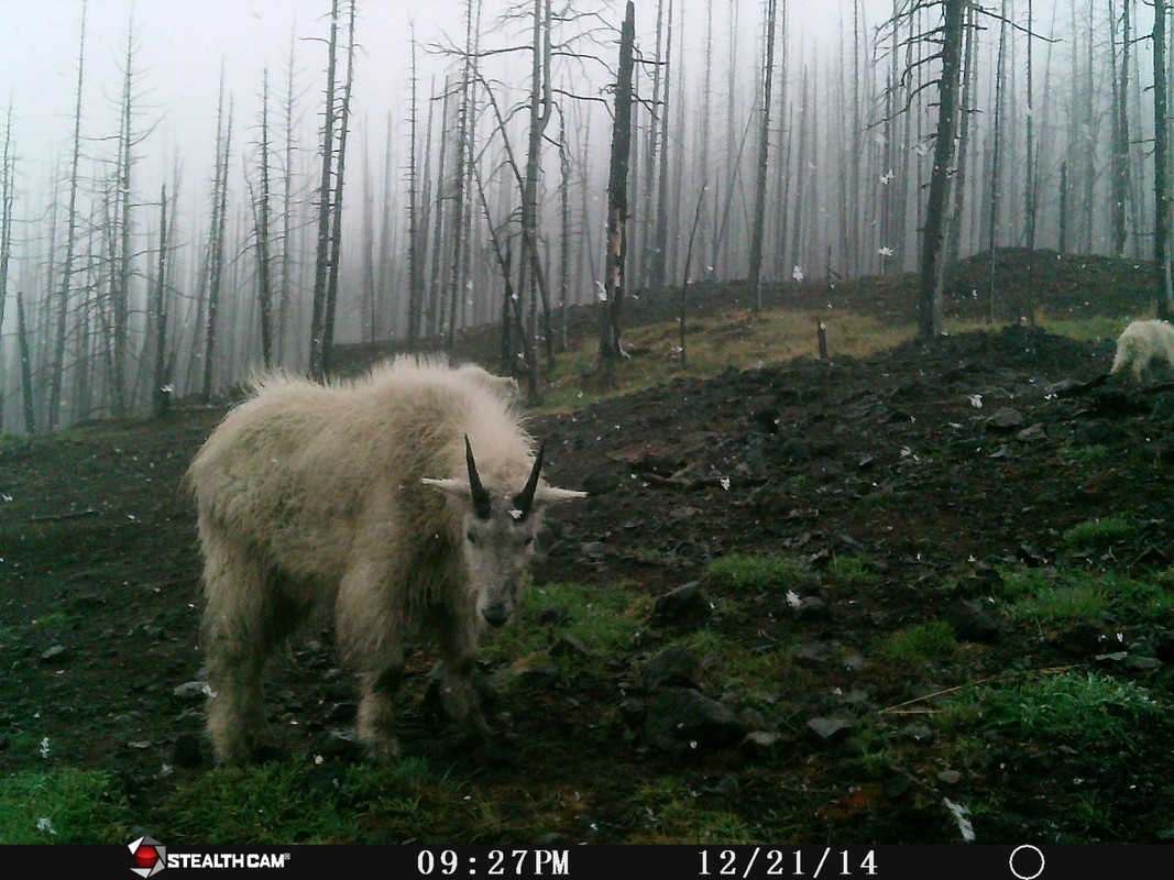 223F1C4C-7A60-40E9-9782-AAD104C21E7D