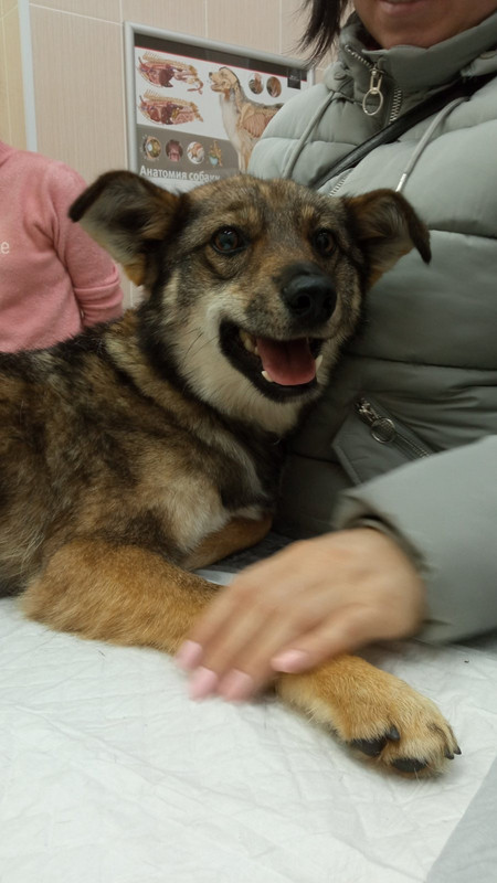 9611D536-93FA-4377-8D0D-A58C2F52D2AF