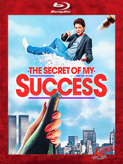The.Secret.of.My.Success.1987.BD25.Latino