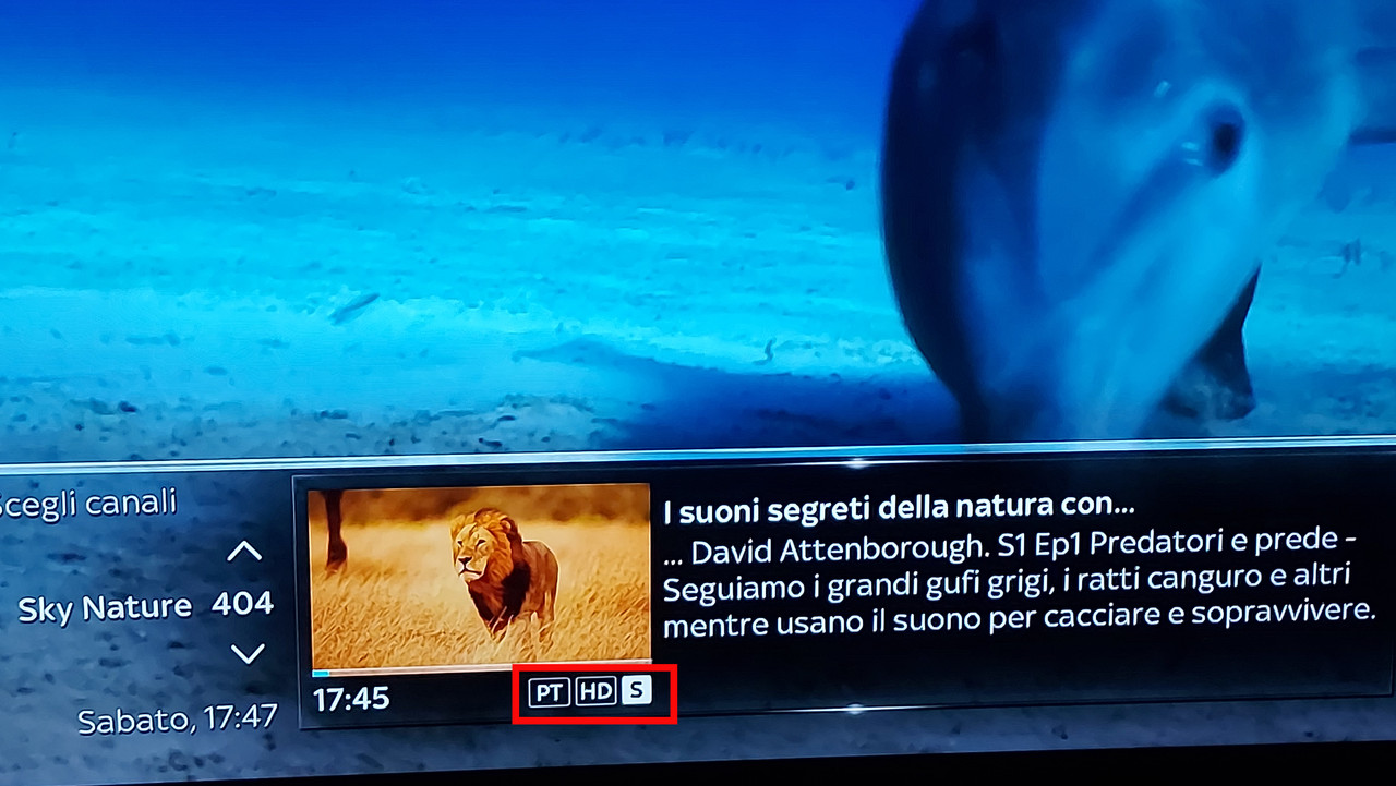 Banner-info-sky.jpg