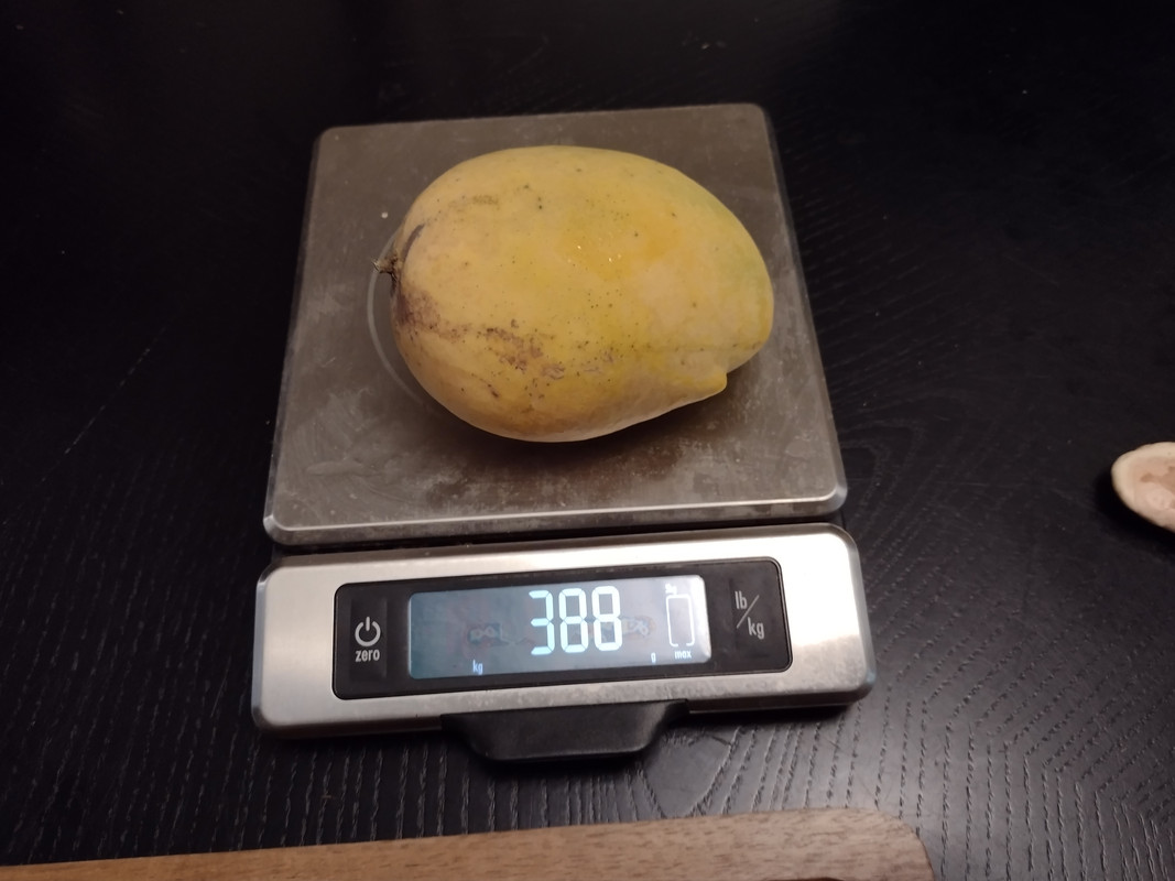 IMG_20210602_192456335