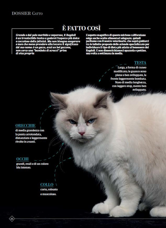 Argos Ott-Nov 2023 (7)