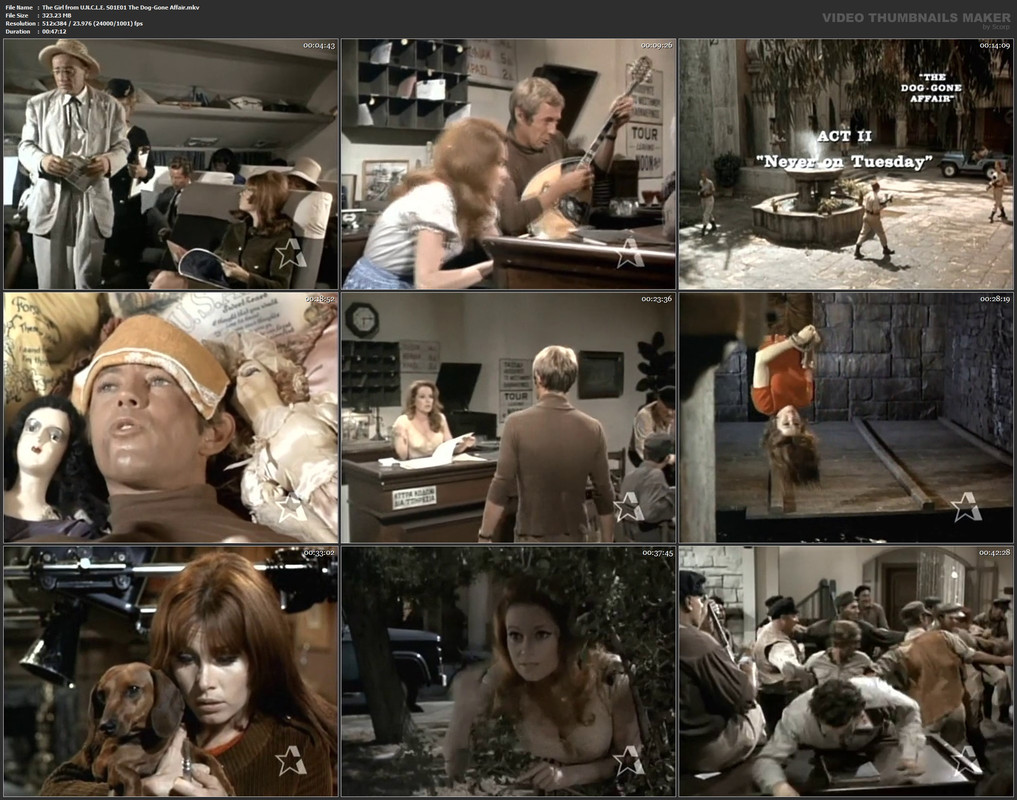 The Girl from U.N.C.L.E. S01E01 The Dog-Gone Affair.mkv