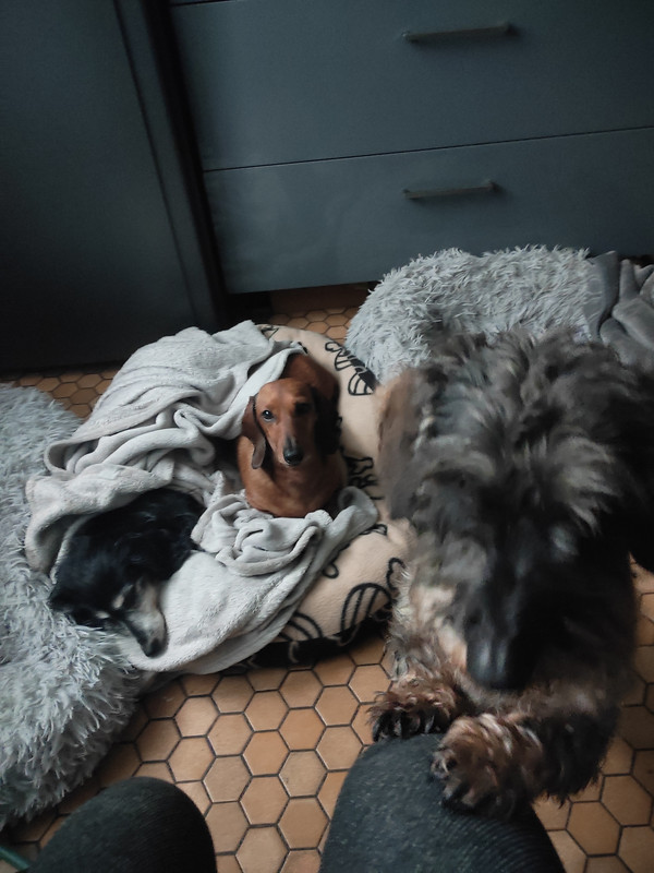 [Image: IMG-20241119-092353.jpg]