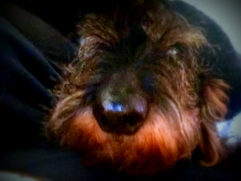 [Image: IMG-2247.jpg]