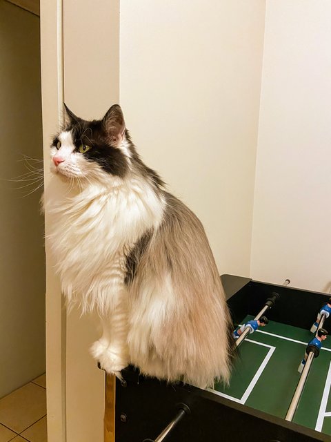 3-D033705-27-A9-4426-8-D13-2-D683-A54019