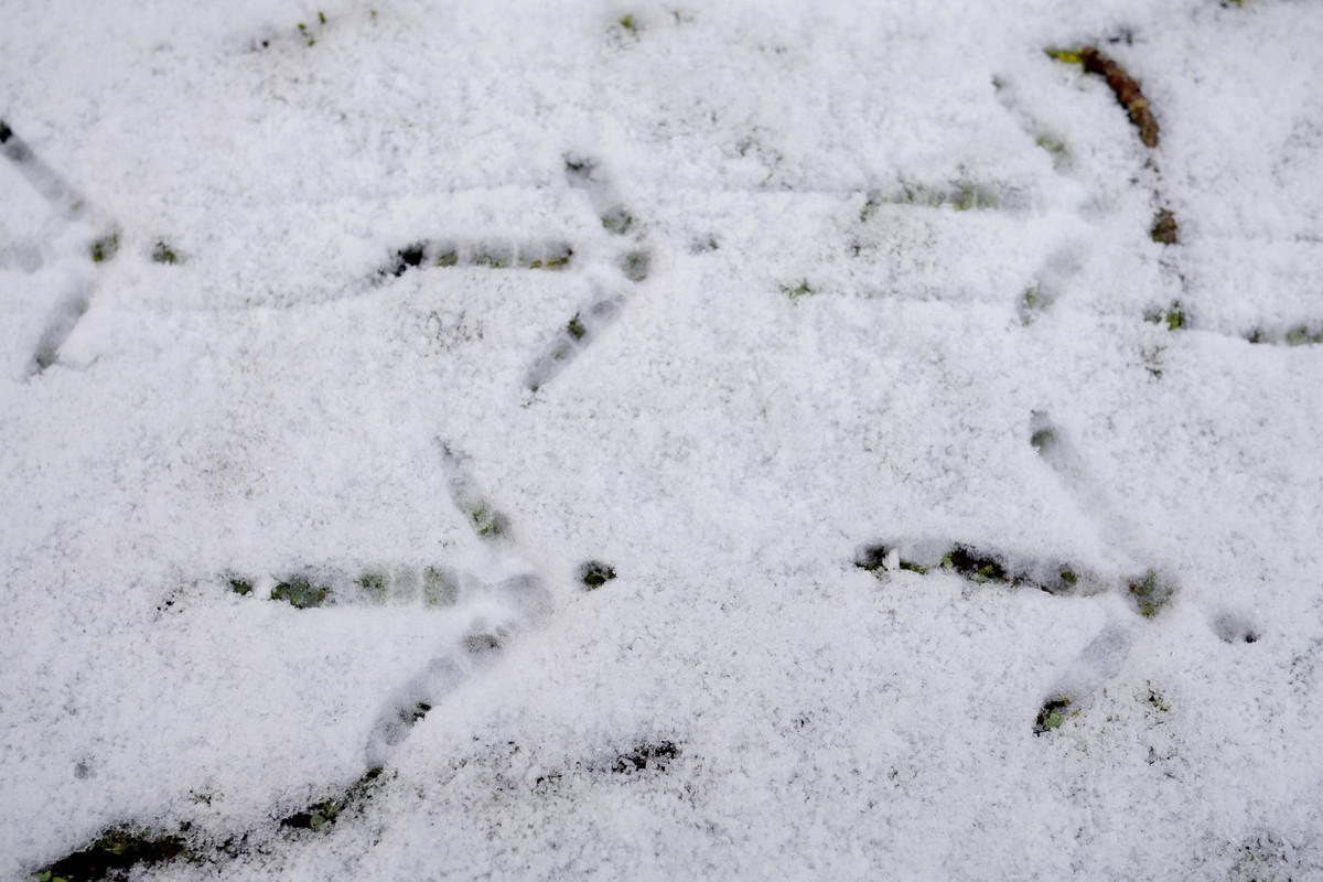 262B4BCE-F358-4255-91DB-3D8568AA3239