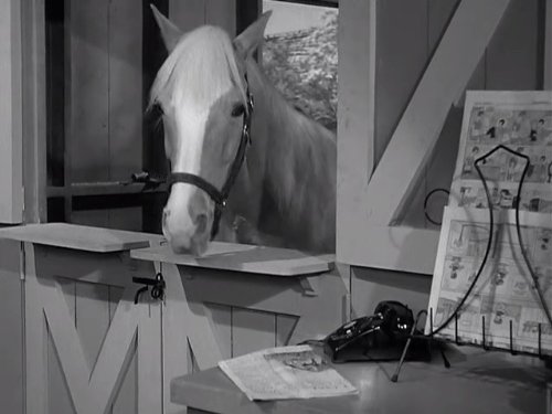 MV5BMTUzNjk1MDQ0MV5BMl5BanBnXkFtZTgwMDA4NzM2MjE@._V1_