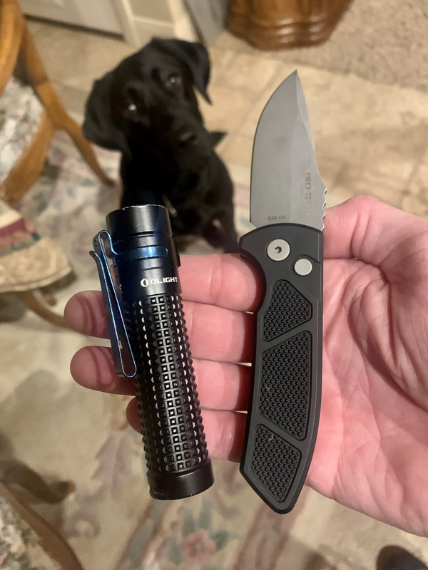 A10913E1-50F8-475E-9419-284C09D9B927