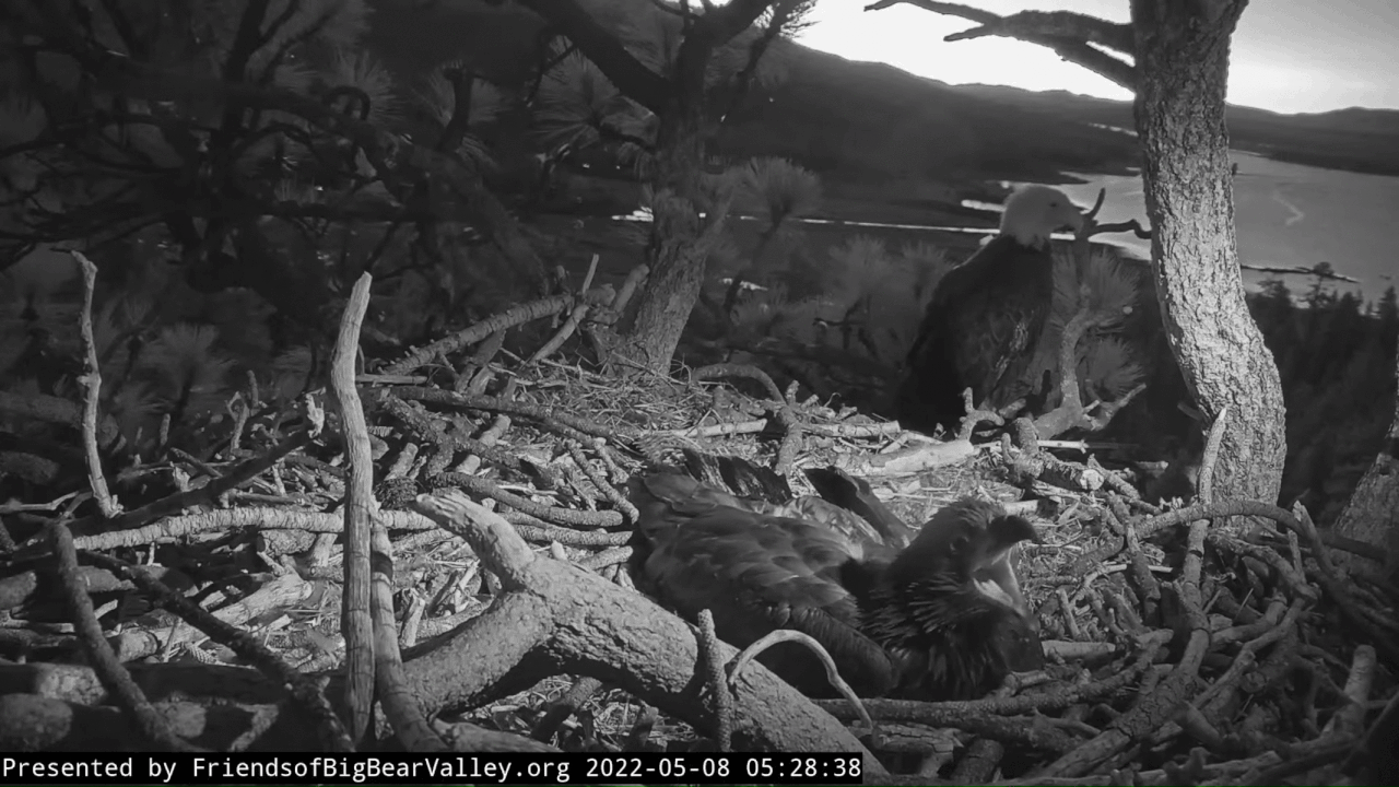 Webp.net-gifmaker (3)