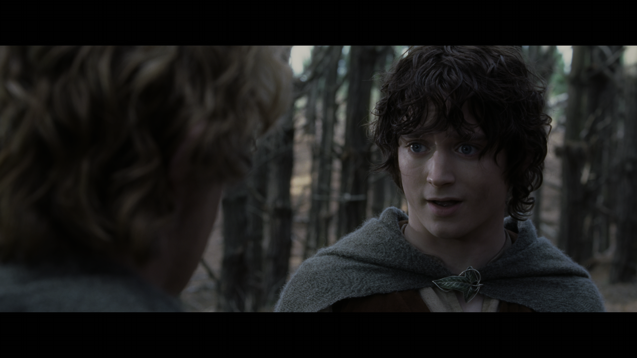 The Lord of the Rings- The Two Towers (EXT.) PT. 2.mkv_snapshot_01.45.37_[2020.12.11_21.53.02]