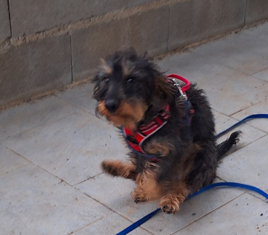 [Image: 20240108-164428.jpg]