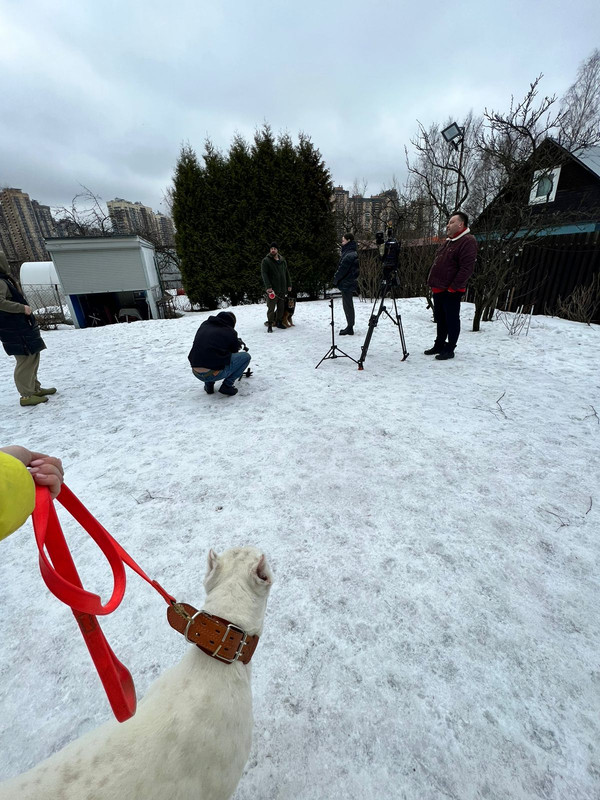 0208A663-D155-427D-85AA-057293E6E89C