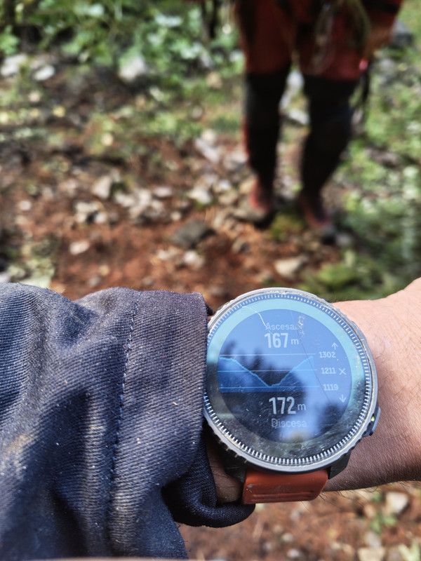 IMG_20250928_182106846