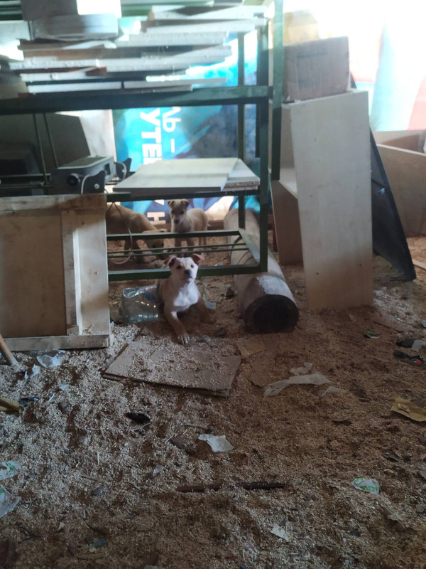 8B78B109-DD6E-4B06-A668-CC812CB0C9ED