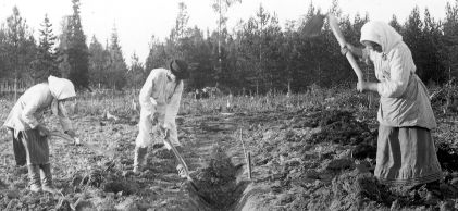 Peasants_in_finland