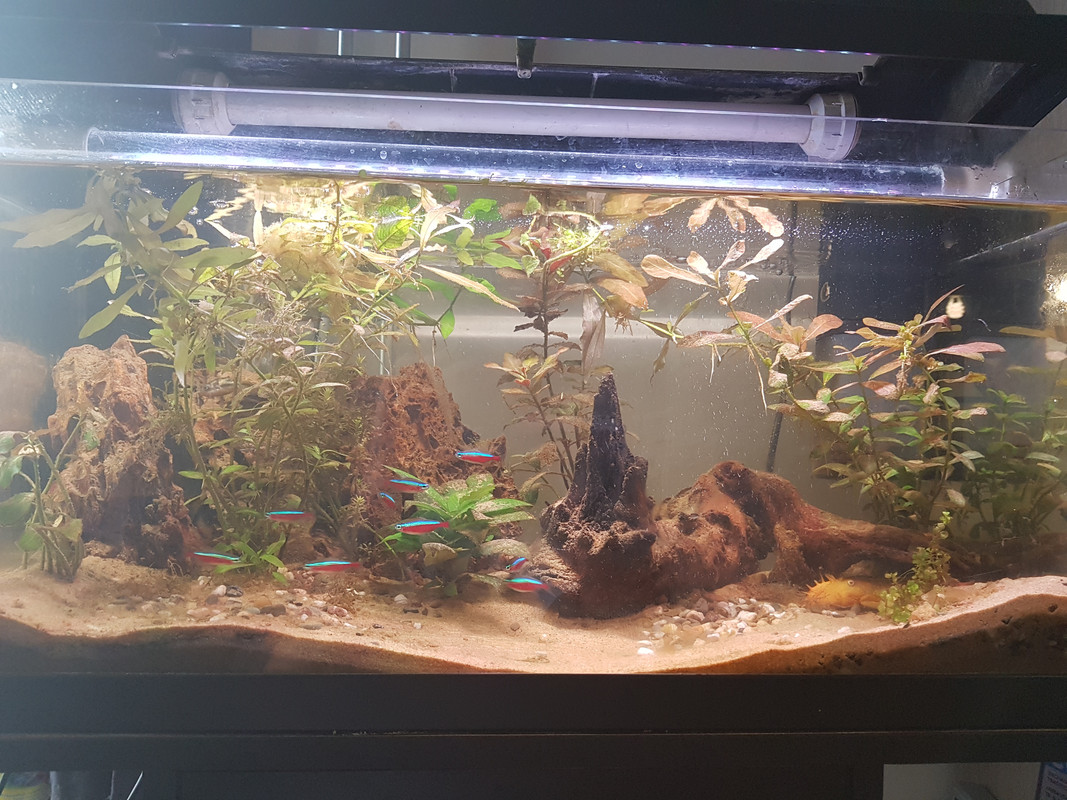 15359960961837937141853808030783