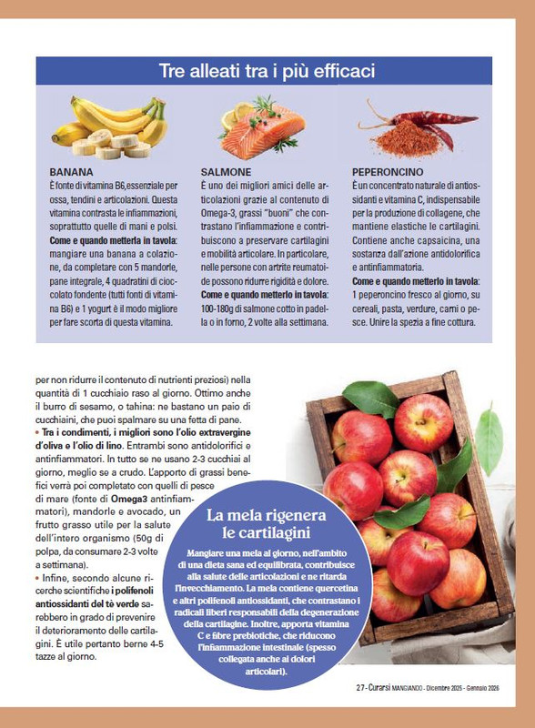 Cur Mang Dic 2025 Gen 2026 (4)