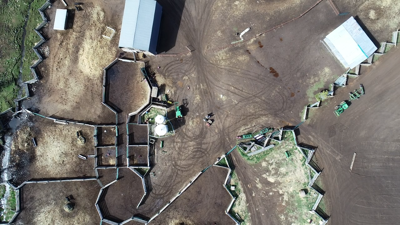 C88C337B-09A2-4C4C-A581-CF645093150C