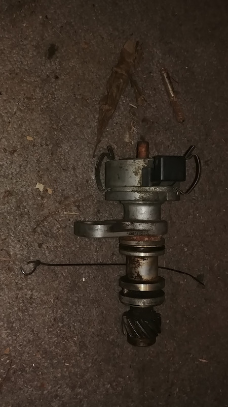 Glorious distributer