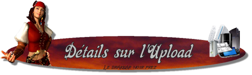 image3.png
