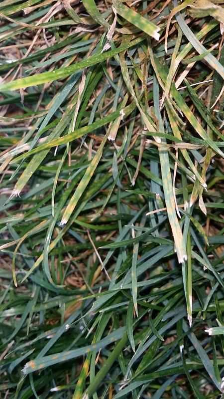 Screenshot_2017-06-14-19-33-49