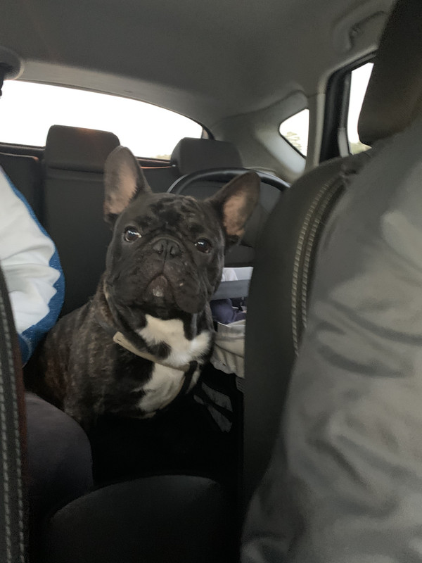 598B1351-2886-402A-828C-DC3F75C76EE2