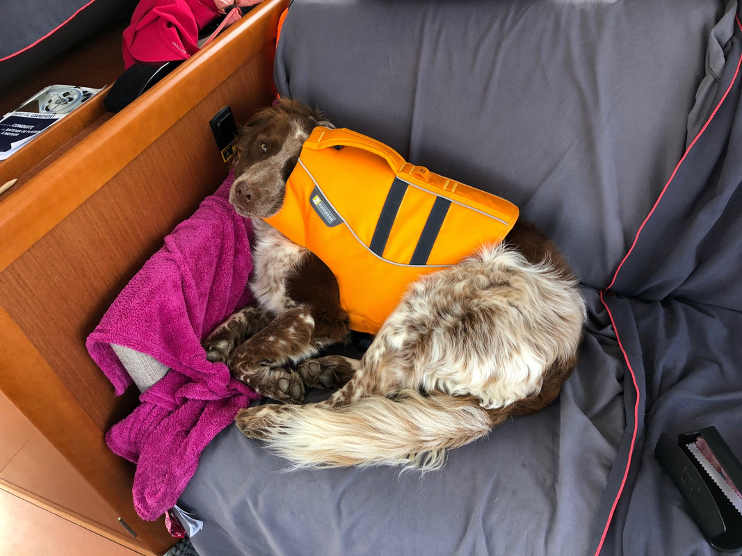 7921B921-4E9D-435F-AA24-9D6489DA20FA