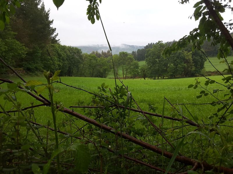 IMG-20170519-WA0008