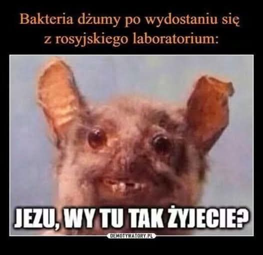 Obrazek