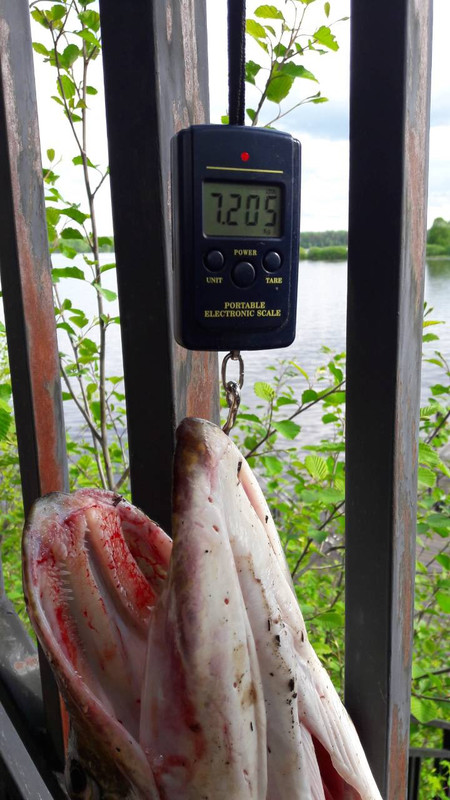 25 4 Ситников Сергей 7,2 джиг (6)