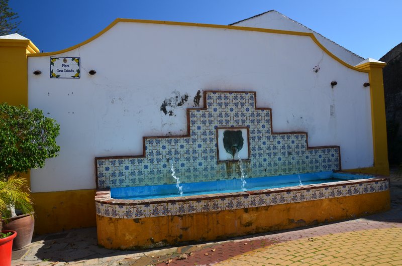 ESTEPONA-9-3-2017 - Málaga y sus pueblos-2009/2017 (37)