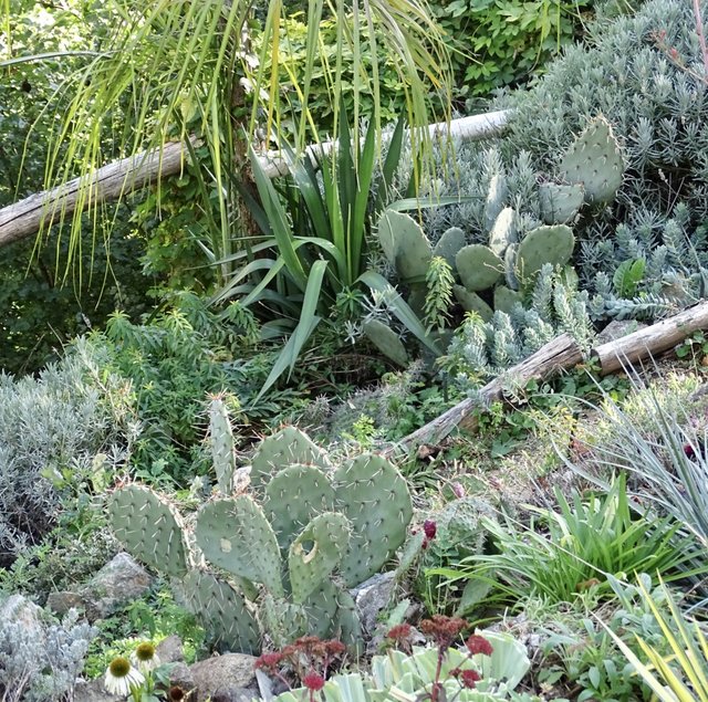 8657A3EB-46D7-4D6B-B20C-9B724C2FF1C8