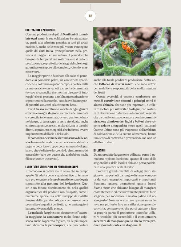 Pizza Mag - Ago-Set 2025 (2)