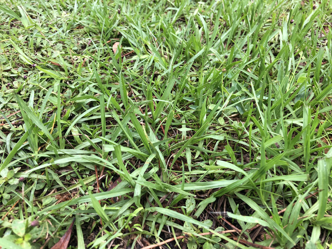 C4178ACC-F270-45C9-B1AE-AF40942B3A6F