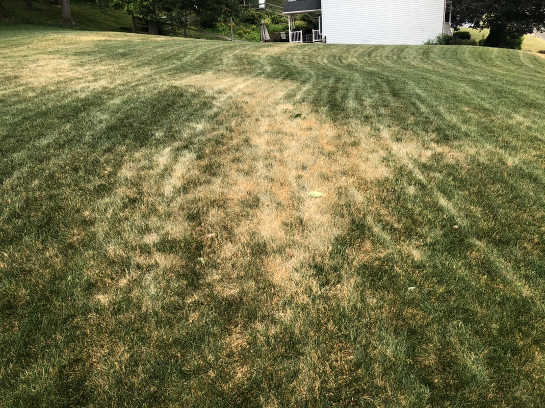 DB7CE86F-B138-46D6-92F3-D07372839936