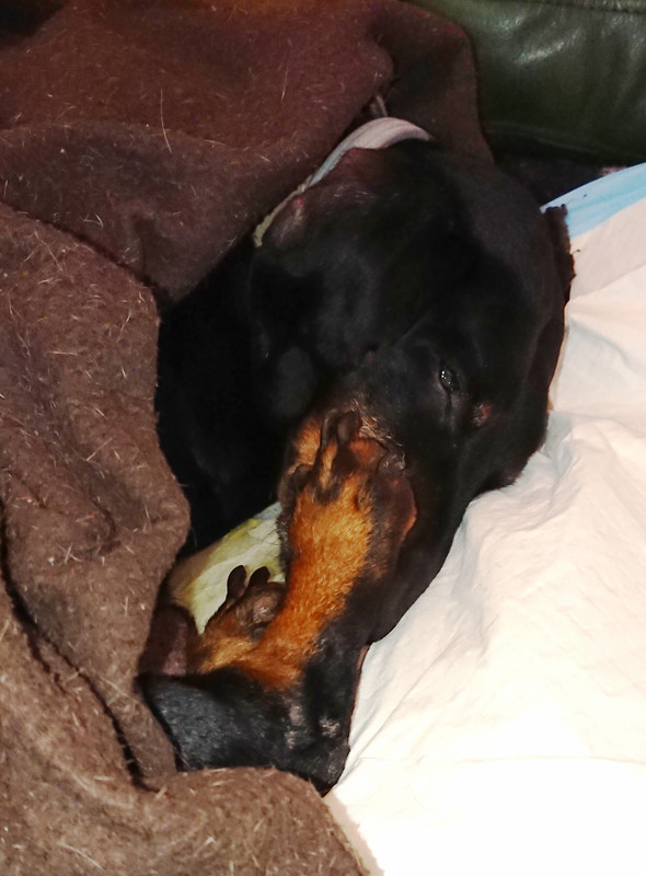 [Image: 20220413-203125.jpg]