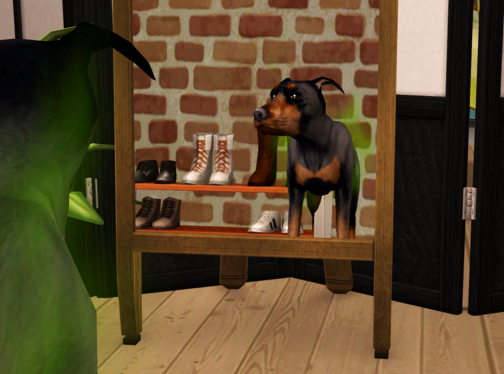 Sims2-EP9-RPC-2022-06-21-22-04-45-31