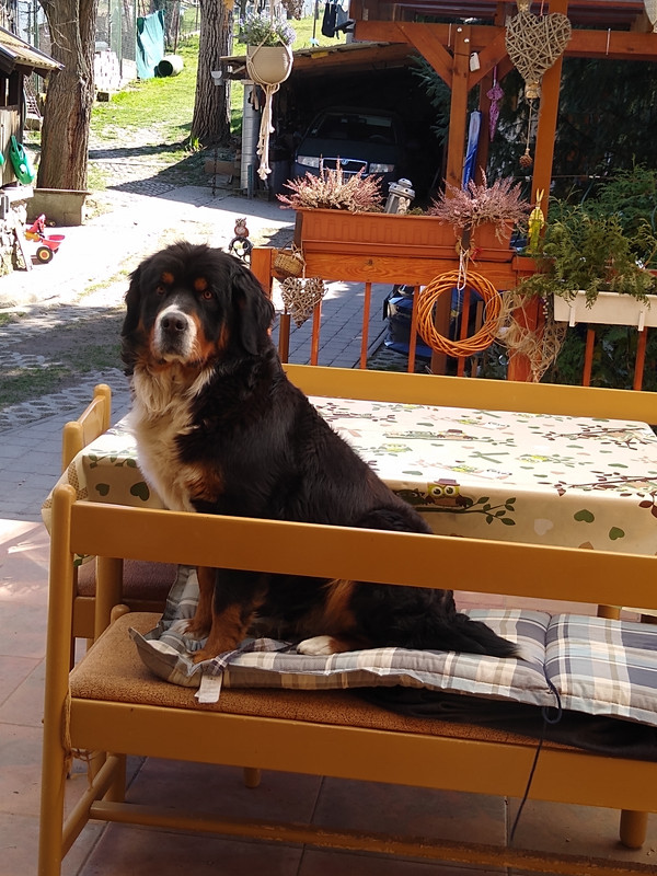 IMG 20200405 141357248