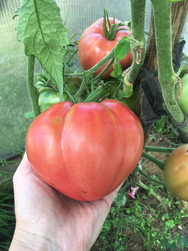 2AB450D6-07A7-4614-984A-29C97D523D58