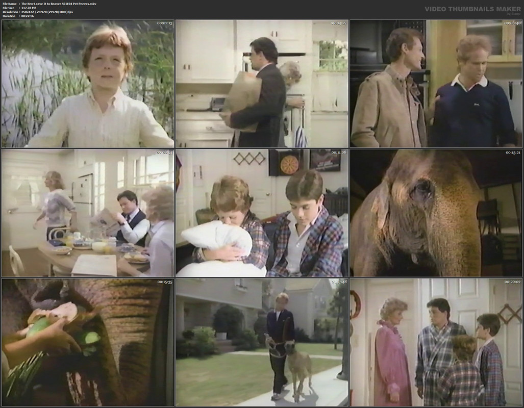 The New Leave It to Beaver S01E04 Pet Peeves.mkv