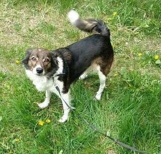 2C883266-E61B-48A1-A607-B3FE08270FC4