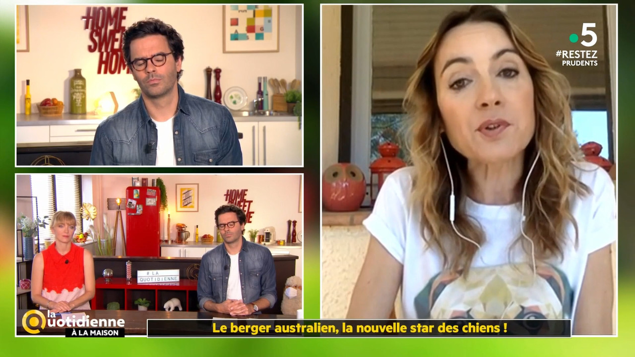2020-05-27_11_55_Fr5_La-quotidienne.mp4_snapshot_00.36.07.318